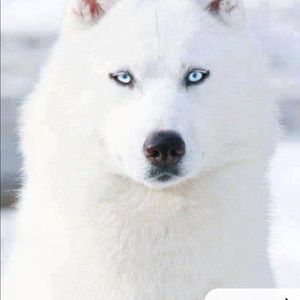 Meet your Posher, Jay